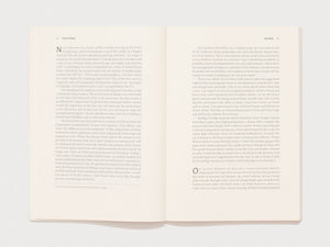n+1 Issue 53: EXCURSIONS
