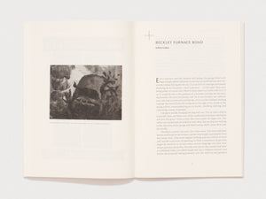 n+1 Issue 53: EXCURSIONS