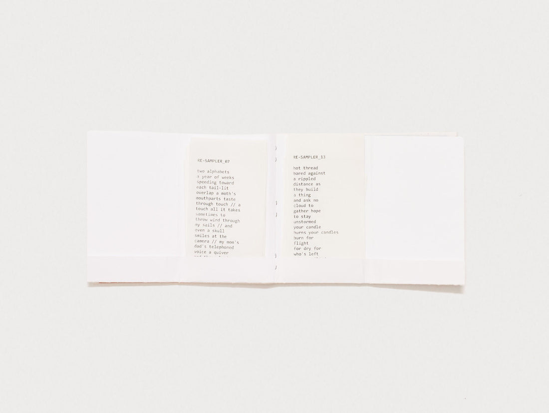 SAMPLER + RE-SAMPLER