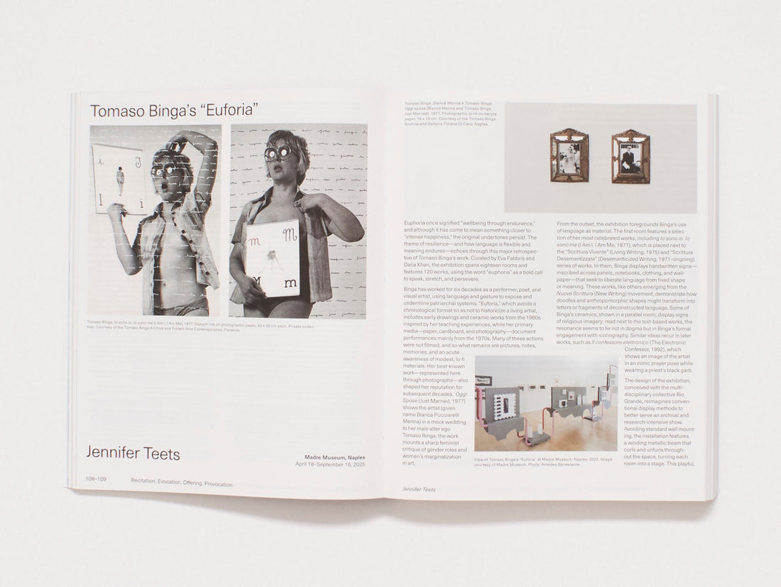 e-flux Index #9