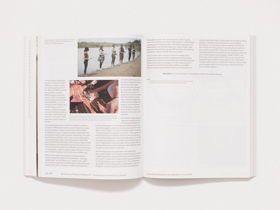 e-flux Index #9