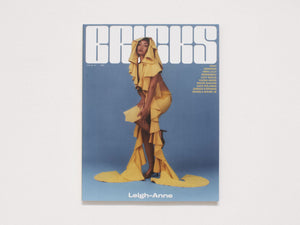 BRICKS Magazine Issue 15