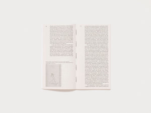 Architecture as a Historical Discipline