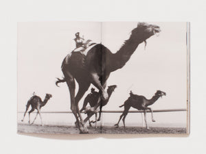 Al Dhafra