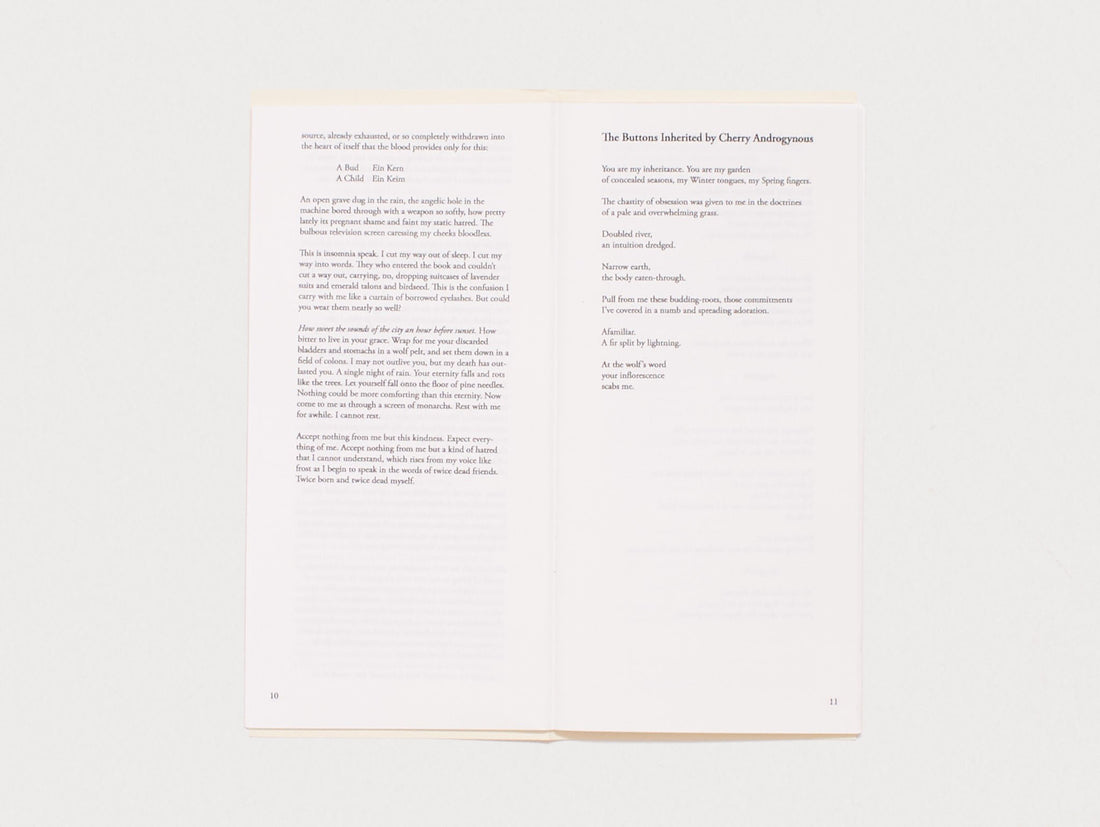 The Notebook of Cherry Androgynous
