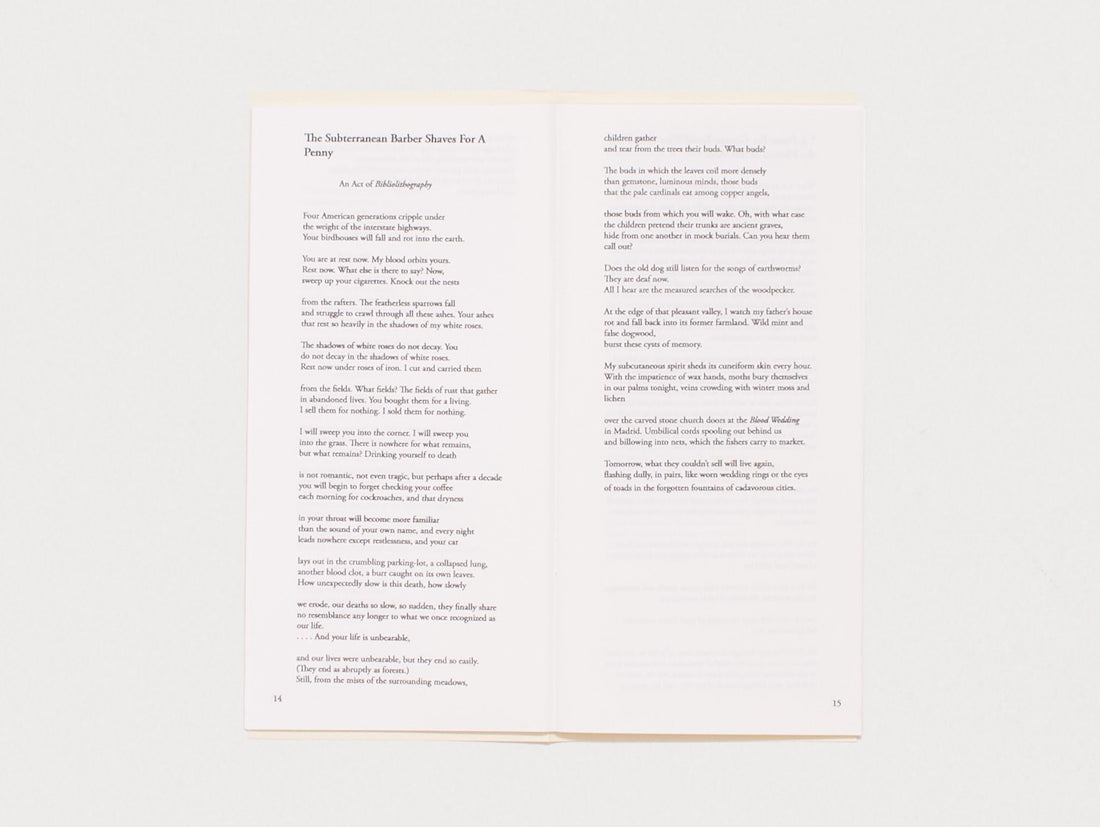The Notebook of Cherry Androgynous