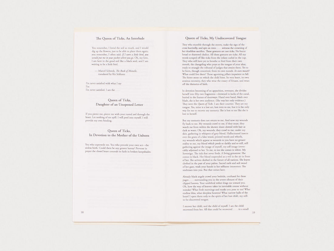 The Notebook of Cherry Androgynous