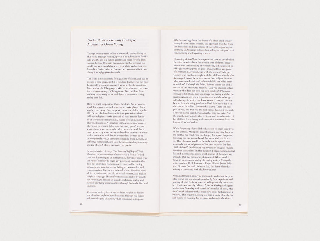 The Notebook of Cherry Androgynous