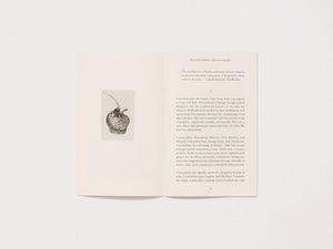 Accumulations (air a-la-mode)