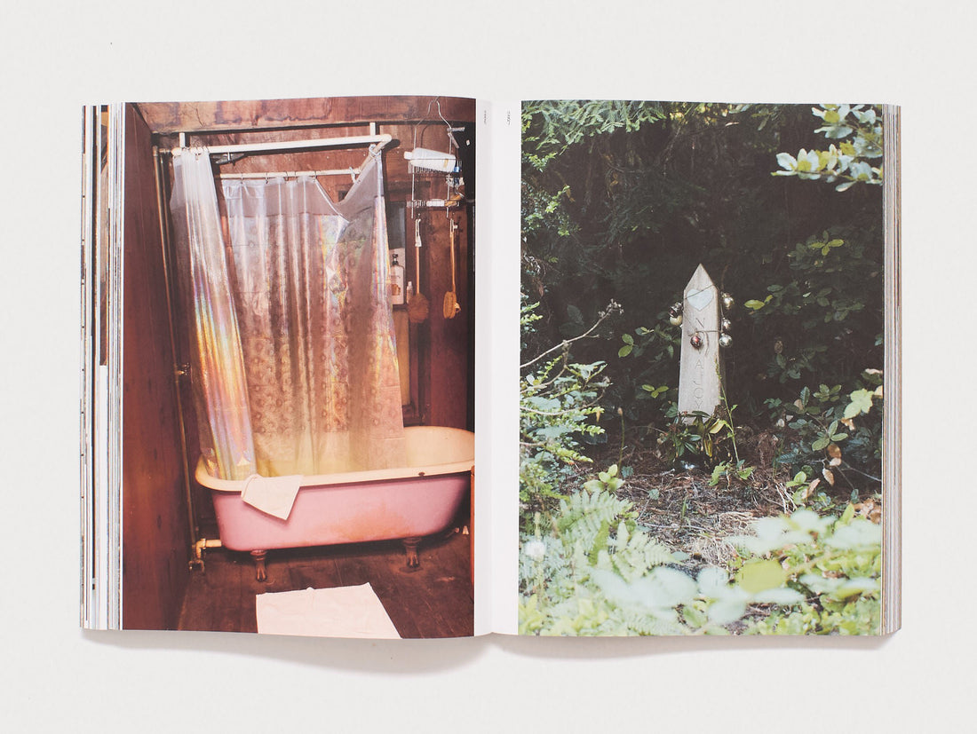Interior spread showing a pink bathtub and a forest scene.