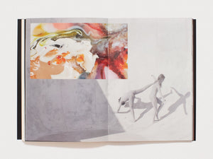 Camouflage Consciousness