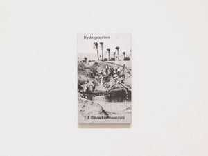 Hydrographies — Ancestors, Waters, Infrastructures