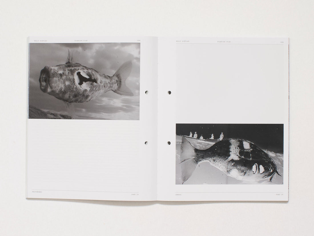 Cosmophotographies - Photoworks Annual 33