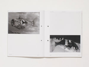 Cosmophotographies - Photoworks Annual 33