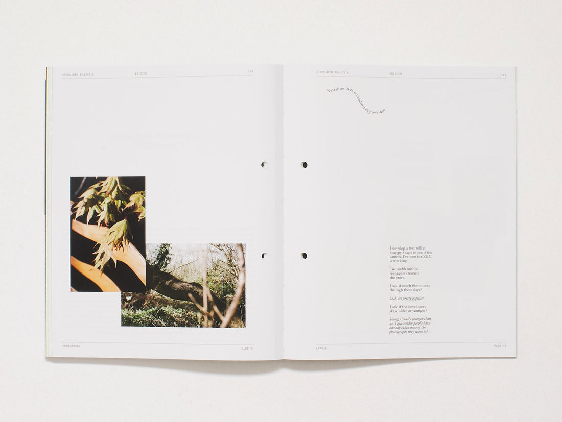 Cosmophotographies - Photoworks Annual 33