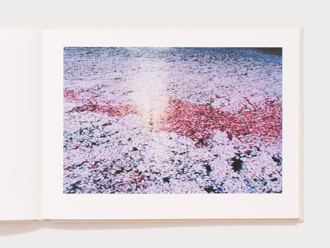 Vira - Signed Edition