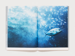 Kanoko - Signed Edition