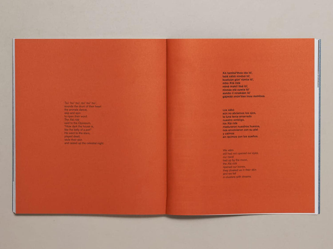 Ixiptla Volume V Amarantus - Antenne Books