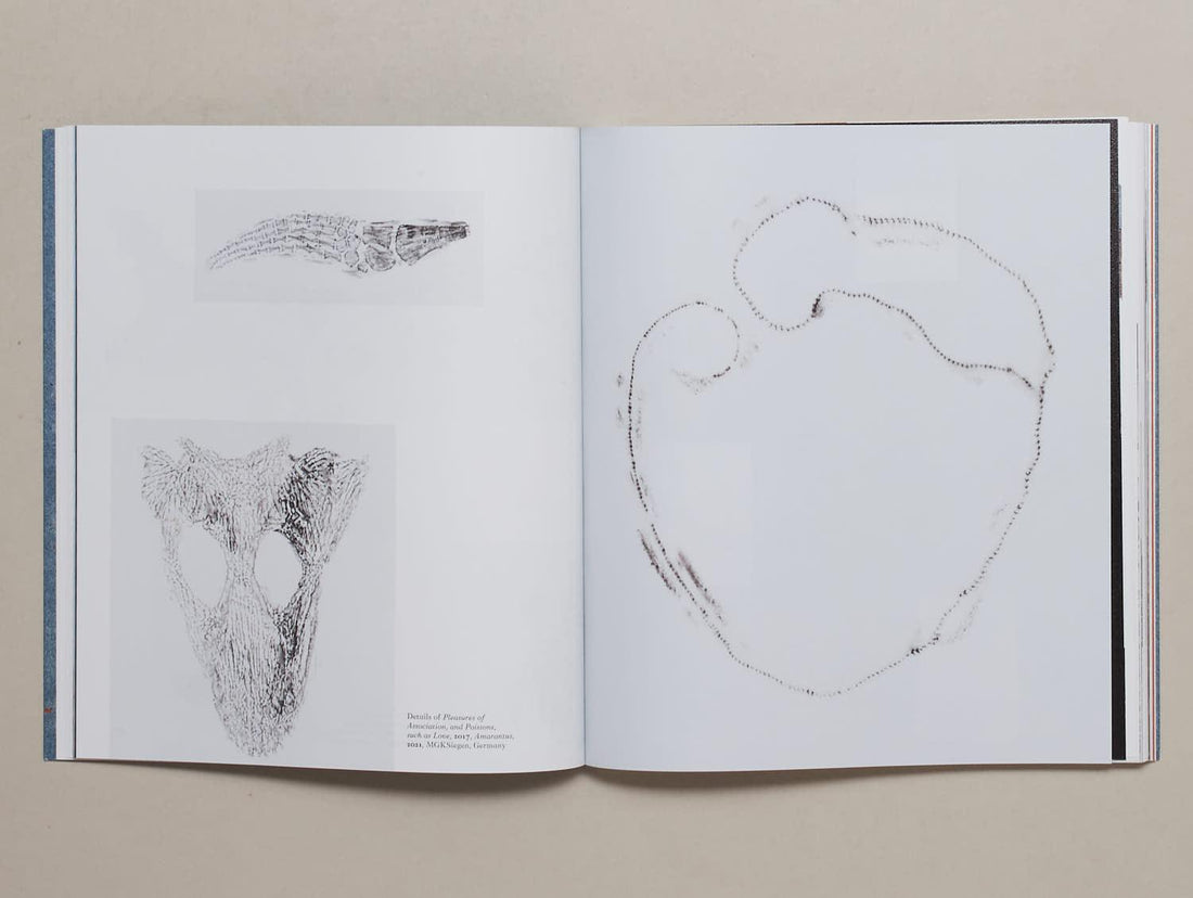 Ixiptla Volume V Amarantus - Antenne Books