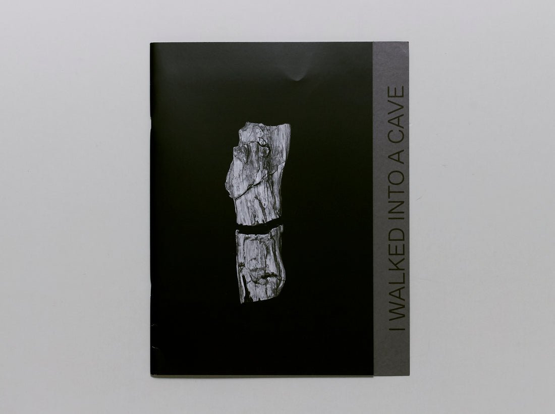 I Walked Into a Cave And Up To Paradajs