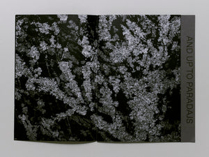 I Walked Into a Cave And Up To Paradajs