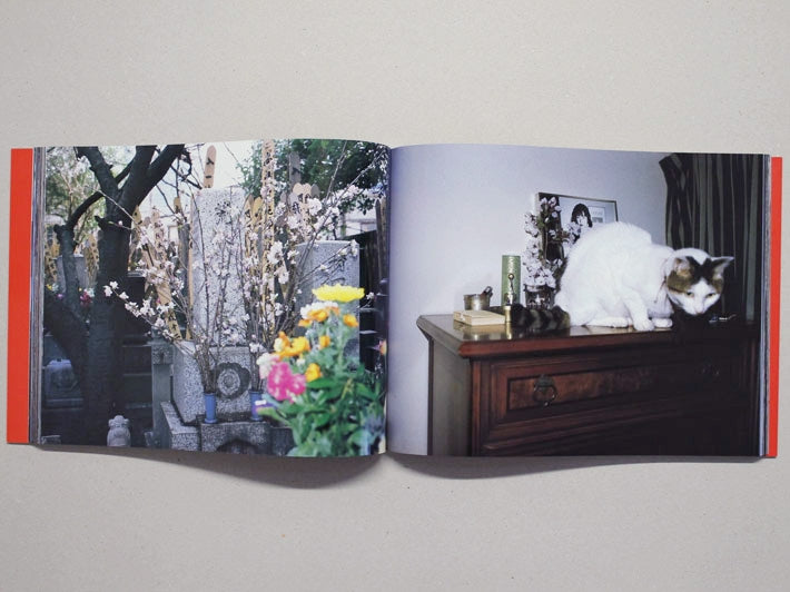 Photographs in the 21st century