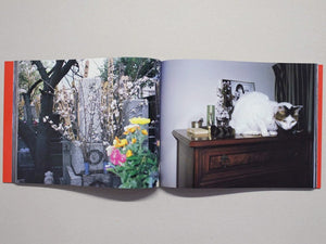 Photographs in the 21st century