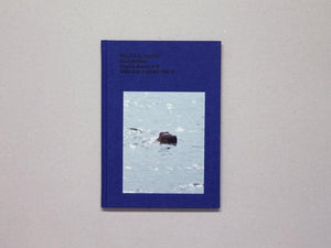 Political Chaos - Antenne Books