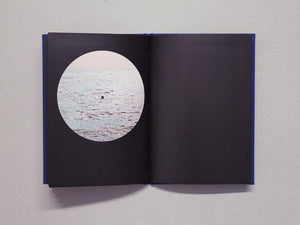 Political Chaos - Antenne Books