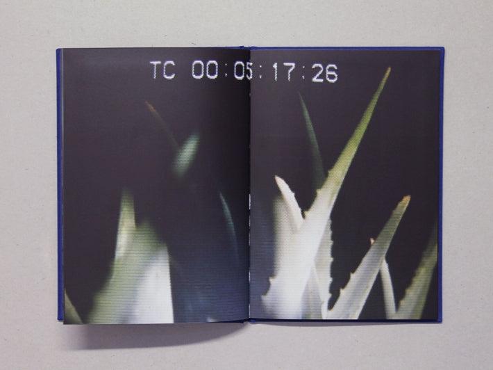 VISTA - Antenne Books