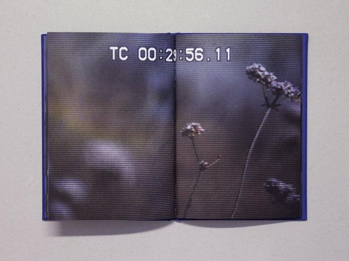 VISTA - Antenne Books