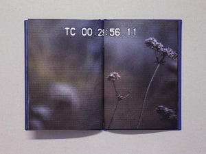 VISTA - Antenne Books