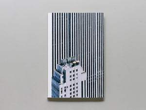 The Rendering Eye: Urban America Revisited