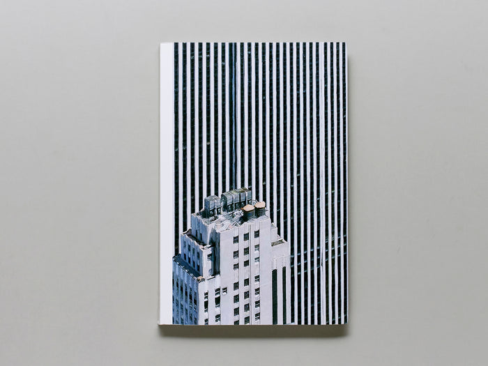 The Rendering Eye: Urban America Revisited