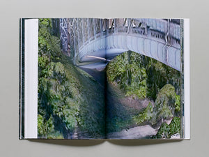 The Rendering Eye: Urban America Revisited