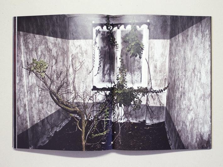 Meteorites - Antenne Books