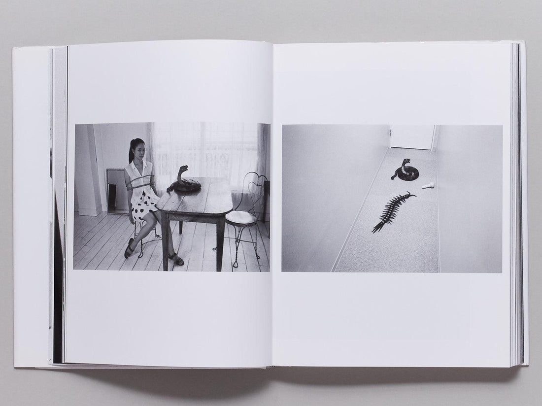 Araki Teller, Teller Araki - Antenne Books