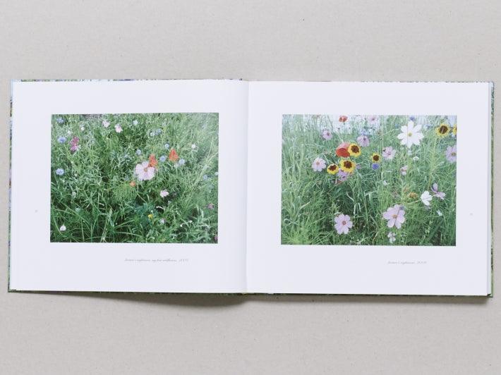 Photographs - Antenne Books