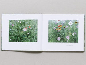 Photographs - Antenne Books