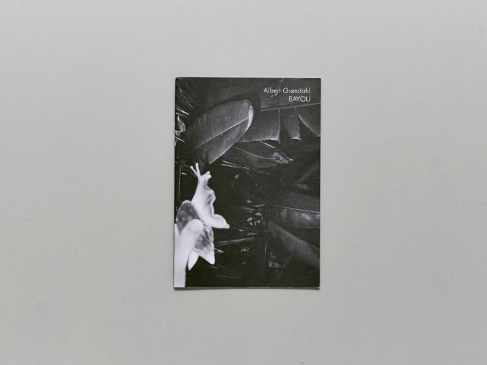 Bayou - Antenne Books