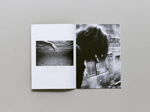 Bayou - Antenne Books