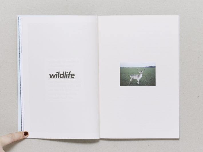 We Are Here Dublin 002