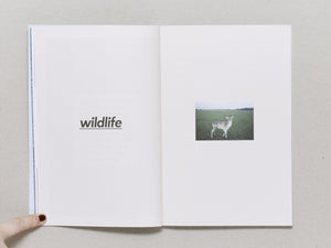 We Are Here Dublin 002