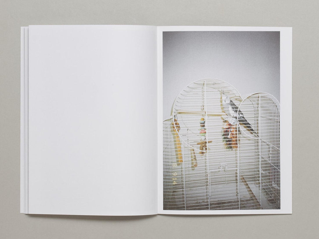 Solon - Antenne Books