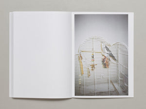 Solon - Antenne Books