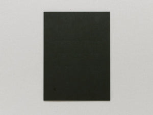 Student Radicals, Japan 1968–69 - Antenne Books