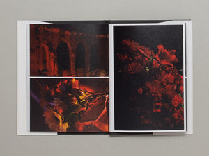 Flower - Antenne Books