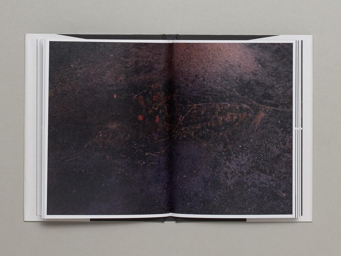 Flower - Antenne Books