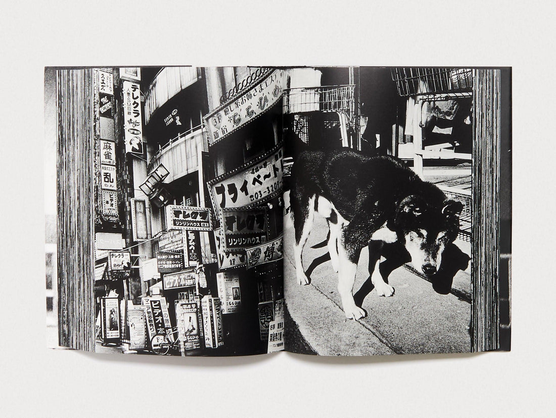 New Shinjuku - Antenne Books