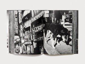 New Shinjuku - Antenne Books